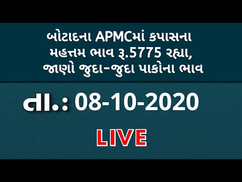 ગુજરાતની બધી જ APMCના તા.08-10-2020 દરેક પાકના ભાવ LIVE । TV9 NEWS