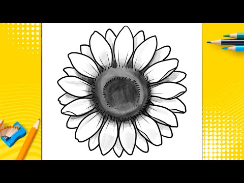 How To Draw a Sunflower - Step by Step