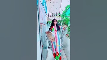 Dzữ dzậy sao #shorts #tuncuibap