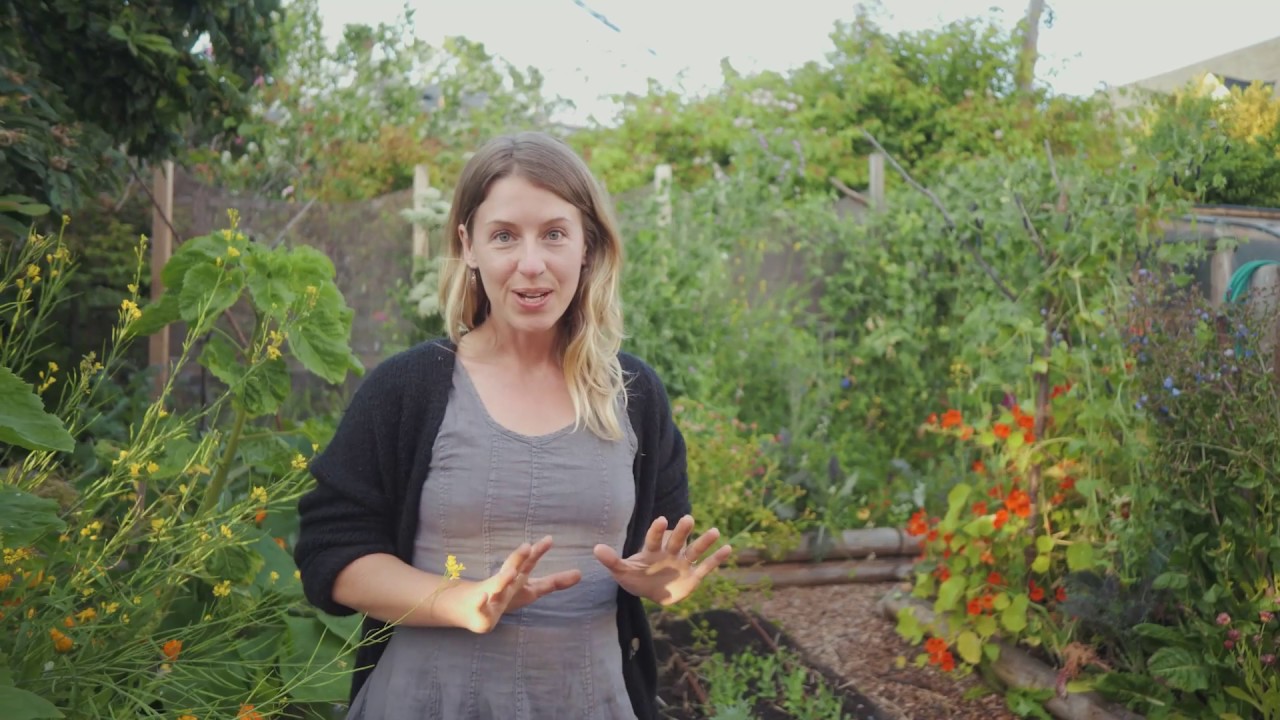 Early July - Transitioning Your Garden for Year Round Harvest - Victoria, BC