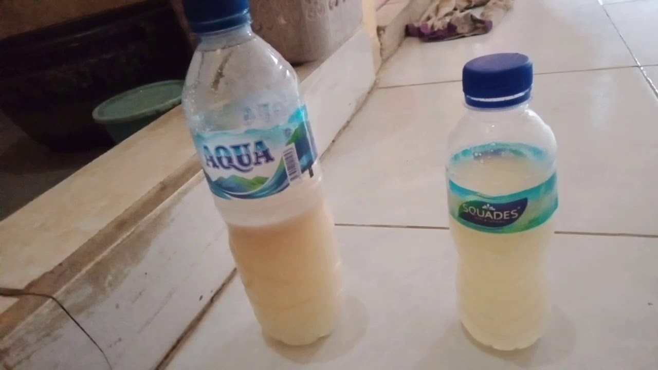 Cara membuat yogurt (Kelas IX) 