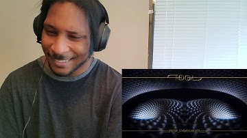 Tool - Fear Inoculum Reaction!