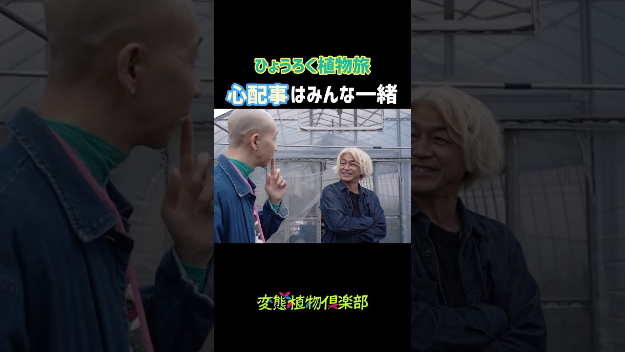 【ひょうろく旅】「30年経っても…」植物変態あるあるに自信🌱珍奇植物を探す旅＠SPECIES NURSERY #変態植物倶楽部 #ひょうろく #珍奇植物 #観葉植物 #多肉植物 #shorts