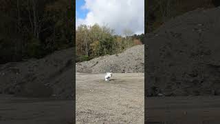 Exploding A Toilet Filled With Gasoline