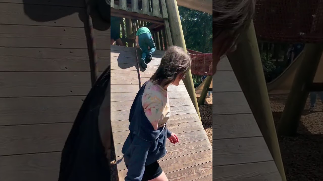 Discover high lodge & thetford forest for family fun