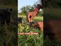 Mini 5 pro bled change #viral #djidrone #dji #drone #trending