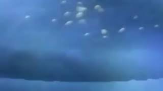 How to Survive being swallowed by a Whale?