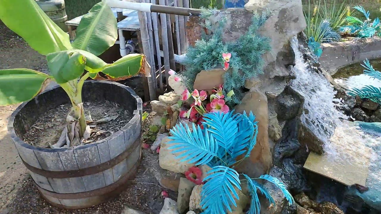 4000 gallon salt water pond update YouTube