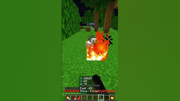 Day 6 of walking 2000 Blocks Every day until I reach the World Border. #minecraft #shorts #day