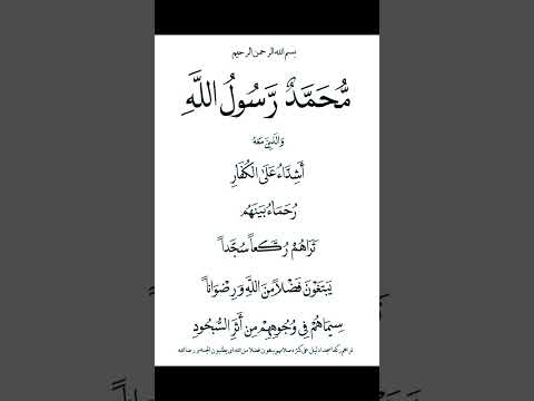محمد رسول الله والذين آمنوا معه محمد عبدالعزيز حصان سورة الفتح