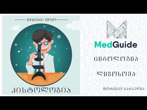 Medguide/მედგიდი - ჰისტოლოგია  |  ციტოლოგია: ლიზოსომა