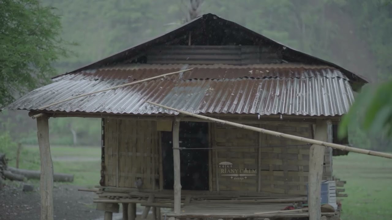 ฝนตกกระทบสังกะสี ในป่า ทำให้หลับสบายผ่อนคลายความกังวลฟัง ยาว 5 