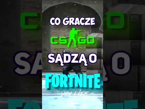 CO GRACZE CSGO SĄDZA O FORTNITE?