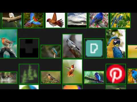 Mass Image Downloader video preview 2