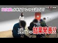 【運命の結果発表!】AV女優末広純が選ぶ!ガチ素人オーディション【PART3/3】