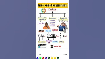 Trick to learn role of macro and micro nutrients Phosphorus #trickshots #Phosphorus