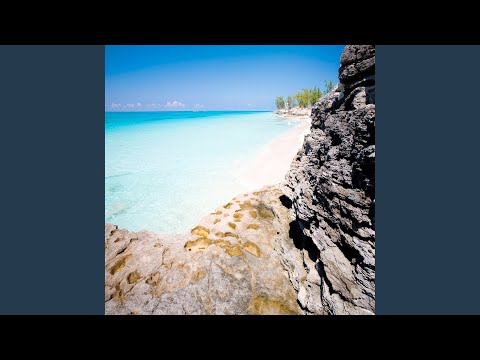 Putar Zano dalia - Balik