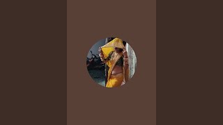Maya Singh official is live