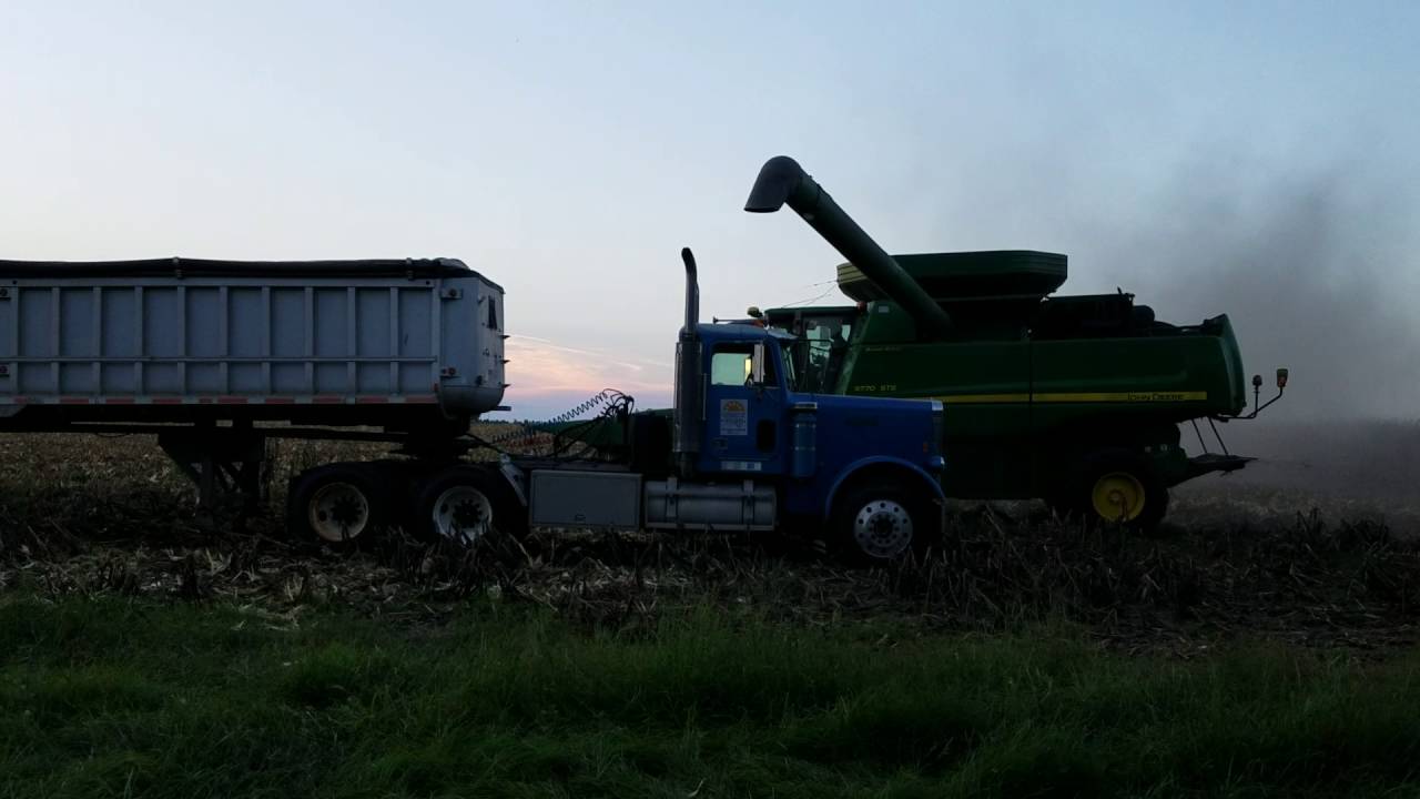 Harvesting feed corn YouTube