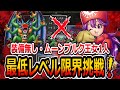 【DQ2】装備なしLv20台のムーンブルク王女1人でラスボス・ハーゴンとシドーは撃破可能か挑戦！後編/Can Princess Moonburg defeat Malroth alone?