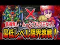 【DQ2】装備なしLv20台のムーンブルク王女1人でラスボス・ハーゴンとシドーは撃破可能か挑戦！/Can Princess Moonburg defeat Hargon, Malroth alone?