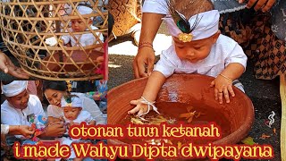 Otonan tuun ketanah Made Wahyu Dipta dwipayana
