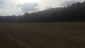 Coursing training | Timmy Sheltie