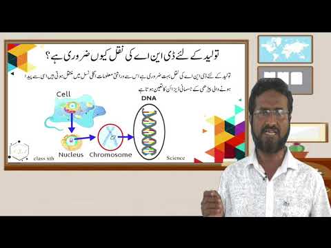 Samveda E Class Urdu Medium/2020-21/SSLC/Science/ Unit-8: How Do Organisms Reproduce? (1/4)