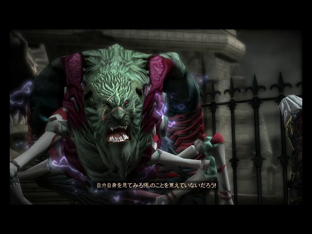 【ネネすけ】3DSキャッスルヴァニア　宿命の魔境 Amazon | Castlevania - Lords of Shadow - 宿命の魔鏡