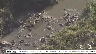 PREVIEW: Head of EPA to tour wastewater treatment plant as Tijuana sewage crisis rages on