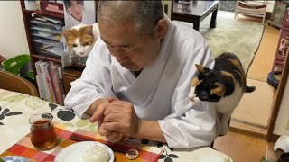 おにぎりはしっかり握って欲しい住職。