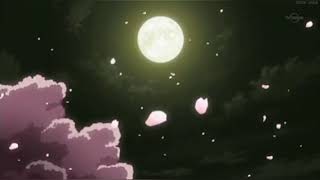 Sailor Moon AMV 🎶Reflection 🎶 (PT)