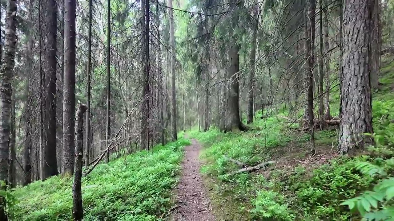 Punamultalukko Suomen suurin suppa