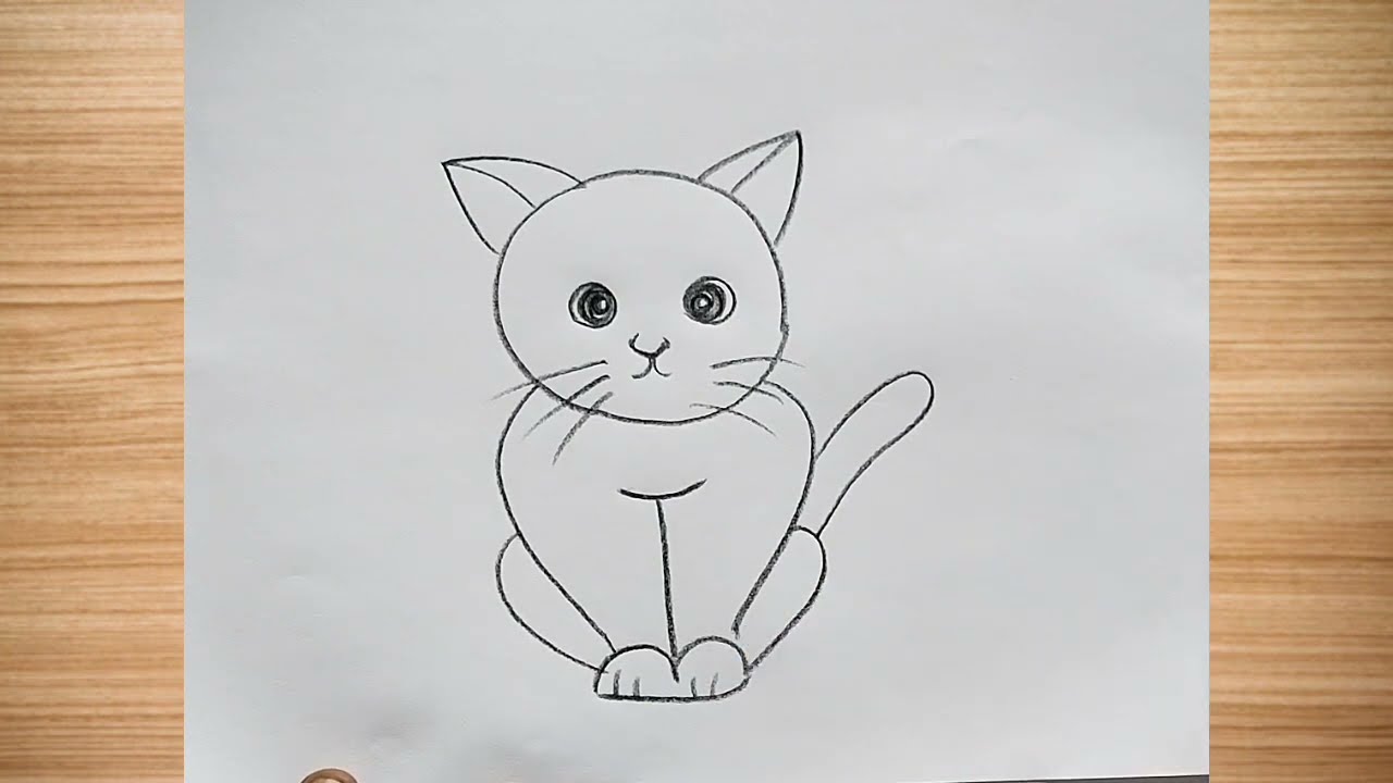 How to draw  cat drawing easy step by step || cat drawing@aaravdrawingcreative1112 