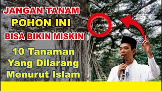 ❌ HATI HATI ❗INILAH 10 TANAMAN YANG DILARANG DITANAM DIDEPAN RUMAH MENURUT ISLAM BISA BIKIT MISKIN