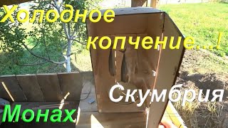 видео: Холодное копчение скумбрии дымогенератором Хобби Смок/Hobbi Smoke 2.0+/ Моё первое холодное копчение картинка: Холодное копчение скумбрии дымогенератором Хобби Смок/Hobbi Smoke 2.0+/ Моё первое холодное копчение