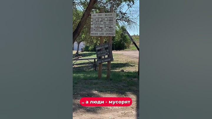 Вот почему в Америке всегда чисто на улице 🏡🚯🐿