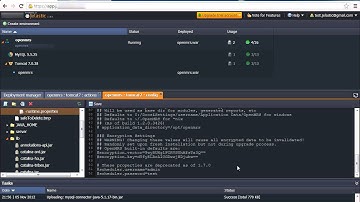 Hosting OpenMRS - Open Medical Record System in Jelastic cloud