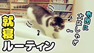 [Futon is fun! ] A cat's sleeping routine that makes you happy when you come to bed