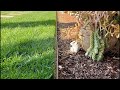 Epic Plastics - Epic Edge Installation