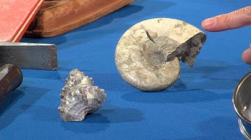 Reading Ocean Fossils with Brian Huber