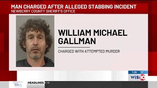 Newberry County man accused of hitting someone with ax