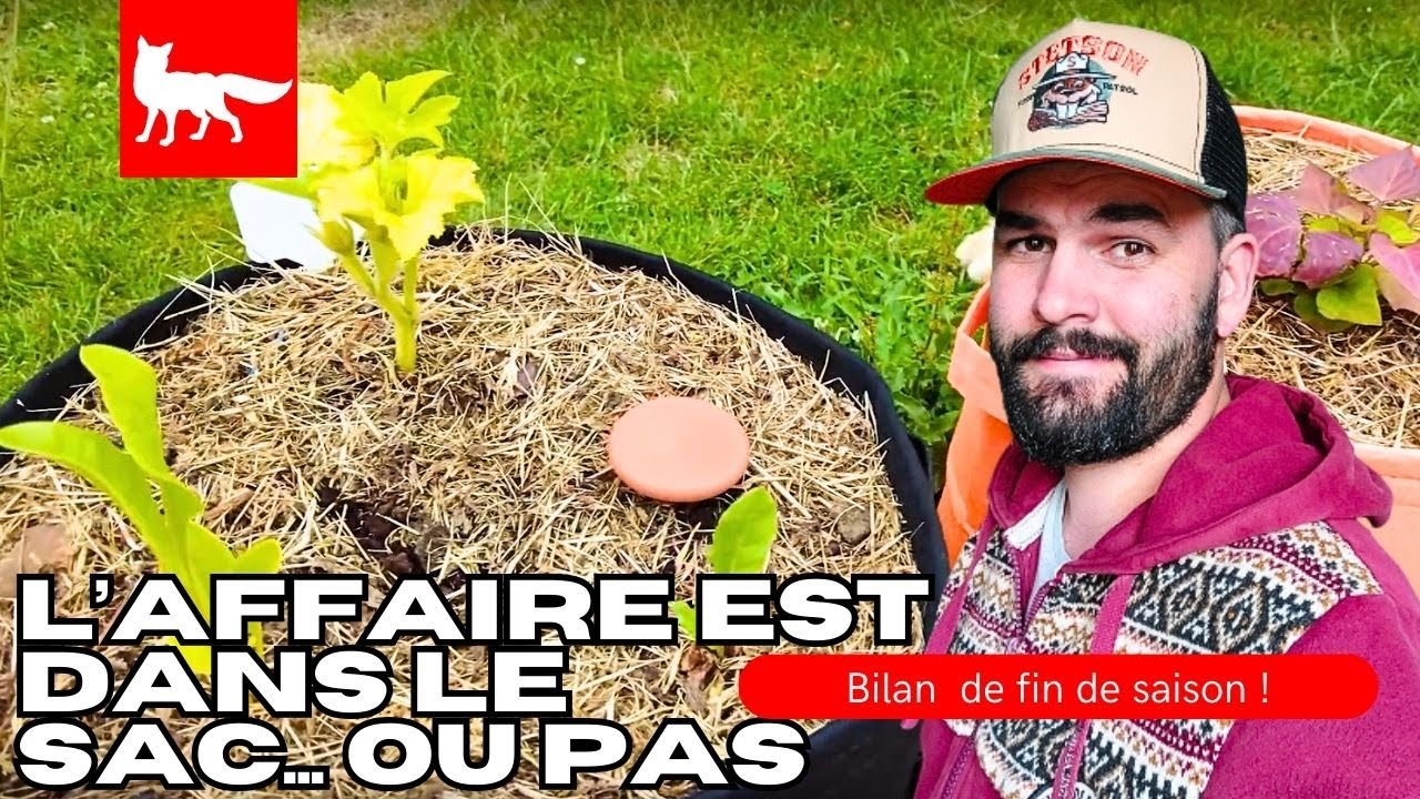 SACS de CULTURE, qu'est ce que ça donne ? [SAISON 1] #potager