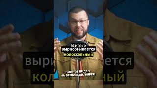 Тоннель Путин-Трамп либо Пролив имени Сталина (АНОНС)