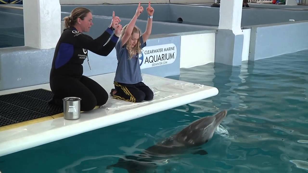 Trevor meets Hope at Clearwater Marine Aquarium (site of Dolphin Tale 1