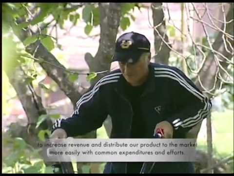 საქართველოს თხილის დარგის მესვეურთა ფორუმი ანაკლიაში