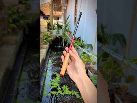 Gak perlu pake grip tambahan!! #mancing