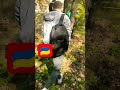 😂 Звук "Гераний" развил у киевлян новые фобии