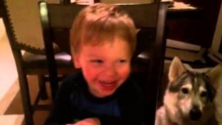 IMG 0084 2