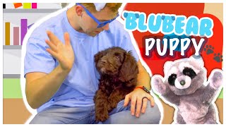 Blubear & Chester Play With Chewi The Puppy Kids Videos